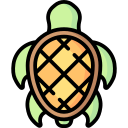 tortuga icon