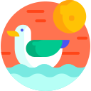 gaviota icon