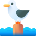 gaviota icon