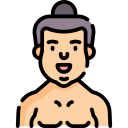 sumo icon