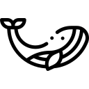 baleine 