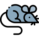 ratón icon