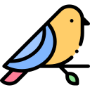 pájaro icon