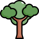 Árbol