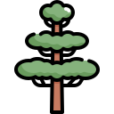 Árbol