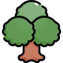 Árbol