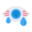 ojo icon