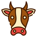 vaca