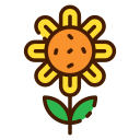 girasol