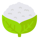 coliflor icon