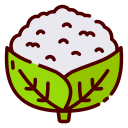 coliflor icon