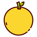 naranja icon