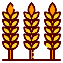 trigo icon