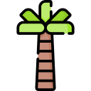 palmera icon