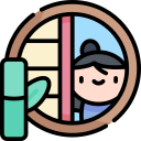 Window 
