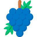 uvas icon