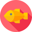 fisch 