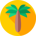 palmera 