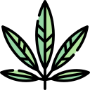 canabis icon