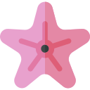 estrella de mar icon