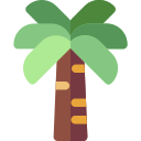 palmera icon