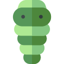 oruga icon