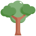 Árbol icon