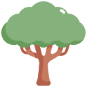 Árbol icon