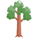 Árbol icon