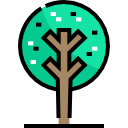 Árbol icon