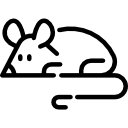 ratón icon