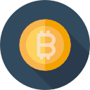 bitcoin icon