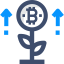 bitcoin icon