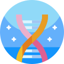 Gene 