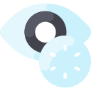 ojo icon