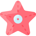 estrella de mar icon