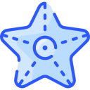 estrella de mar