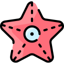 estrella de mar icon