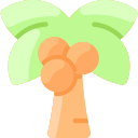 palmera icon