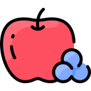 fruta icon