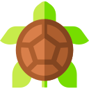 tortuga