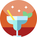 Cocktail icon