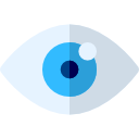 ojo icon