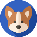 perro icon