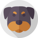 perro icon