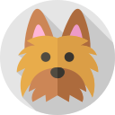 perro icon