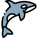 orca 