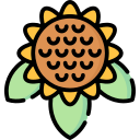 girasol icon