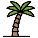 palmera icon