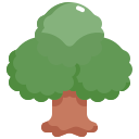 Árbol